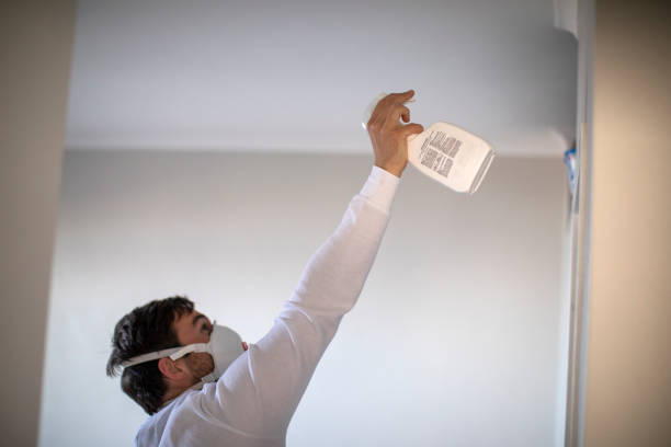 Professional Mold Removal in Jena, LA