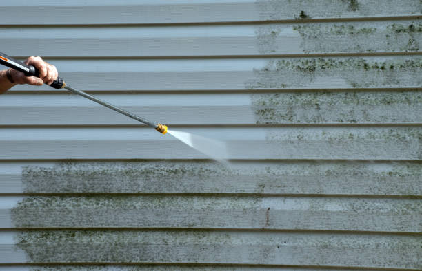Best Commercial Mold Removal  in Jena, LA