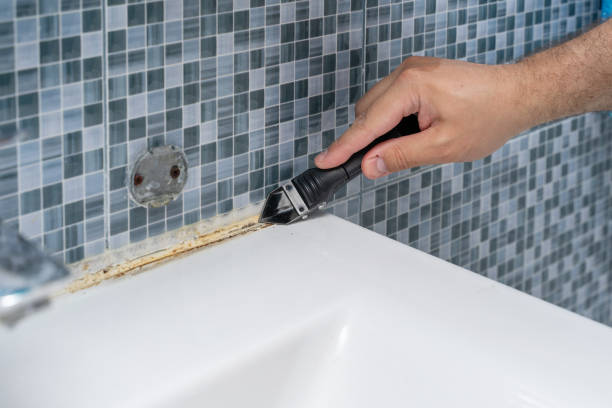 Best Mold Damage Repair  in Jena, LA